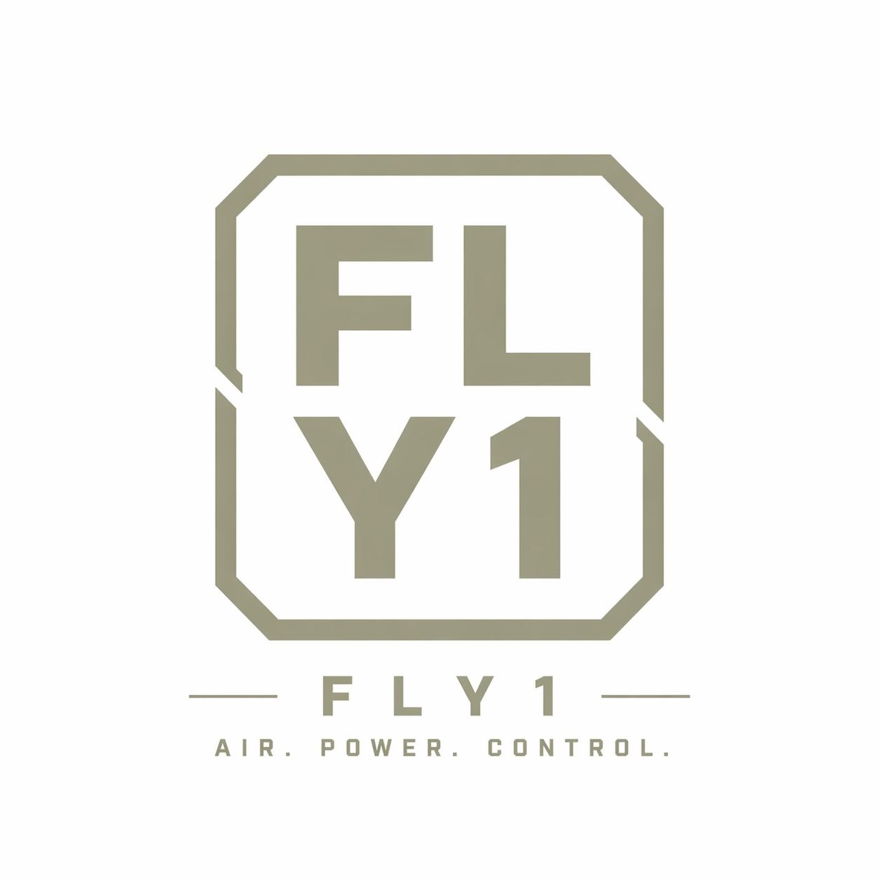 fly1